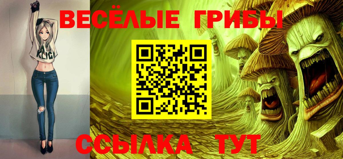Ярославль  Псилоцибиновые грибы Psilocybine cubensis  Вход с VPN 
